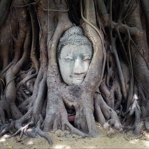 Meet your Posher, Kevin